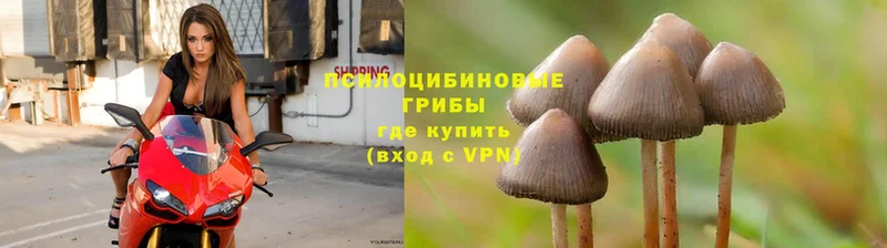 shop клад  Белорецк  Галлюциногенные грибы MAGIC MUSHROOMS 